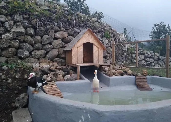 Chalet La Tagora Conect With The Nature & Relax *