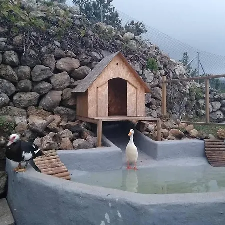 شاليه La Tagora Conect With The Nature & Relax *