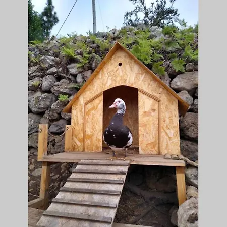 Horská chata La Tagora Conect With The Nature & Relax *